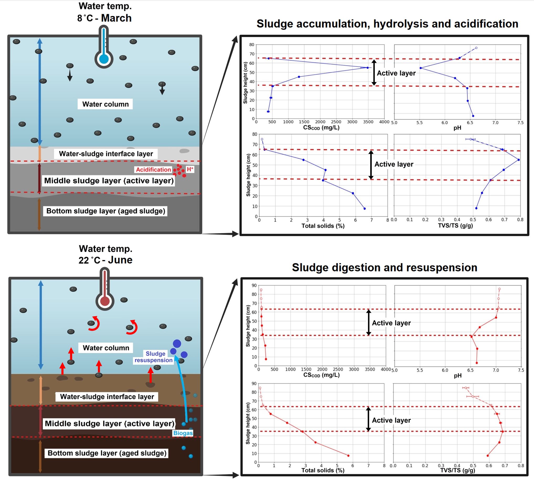 Optimisation des étangs