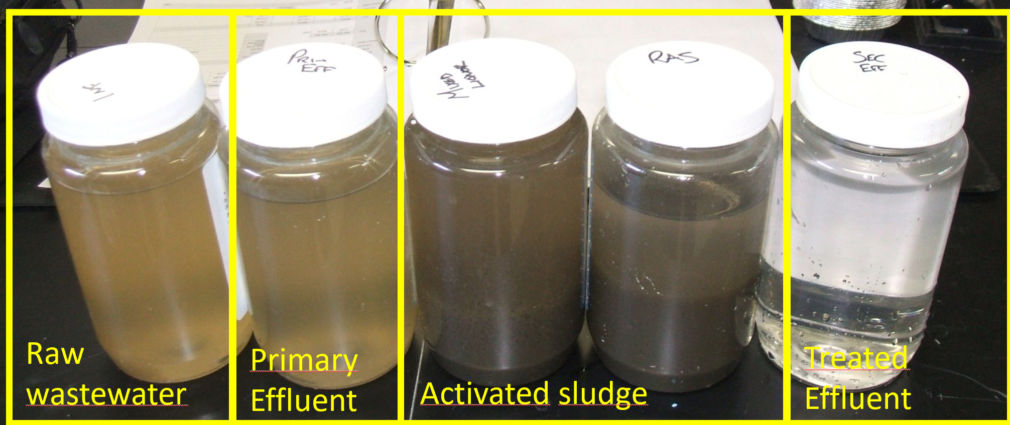 Densification des boues activées