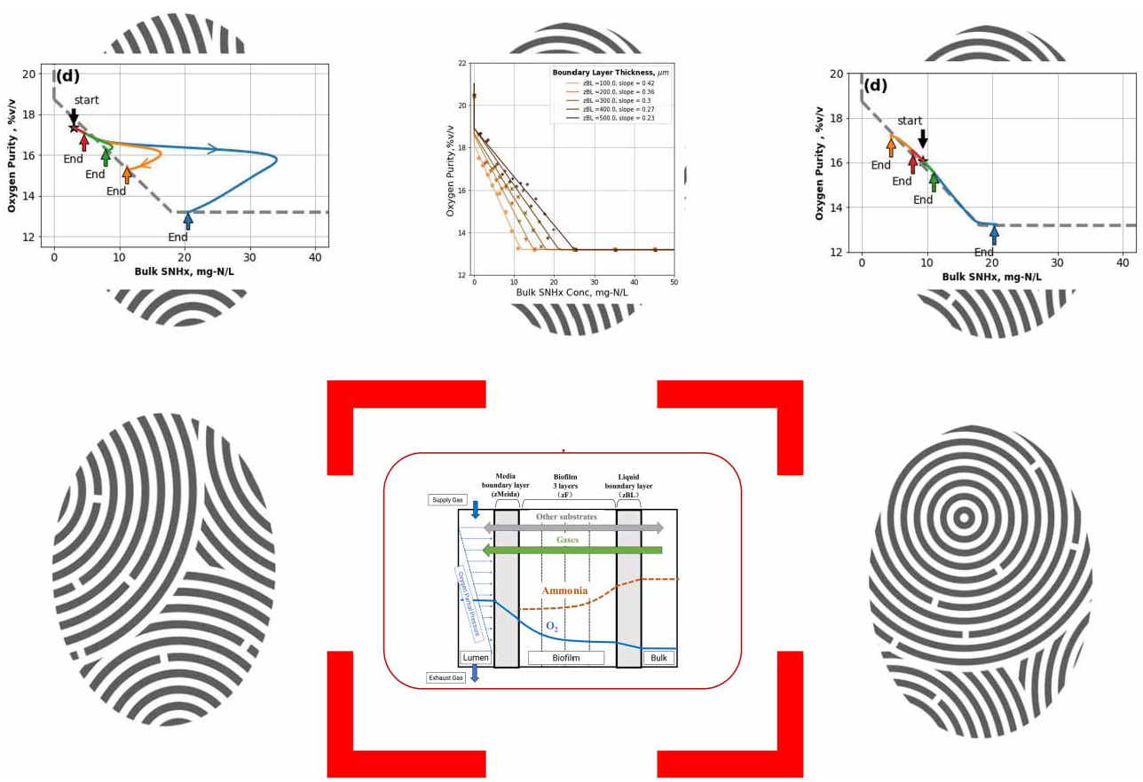 Advanced respirometric techniques and softsensors